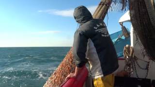 Une journée de pêche à bord du chalutier quot Méditerranée quot Grau dAgde [upl. by Muna]