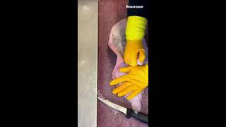 Most Satisfying Fish Cutting ASMR [upl. by Nas]