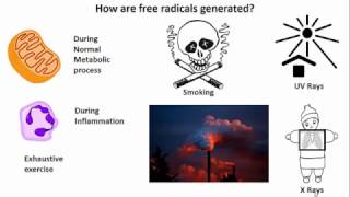 FREE RADICAL MEDIATED CELL INJURY [upl. by Odessa81]