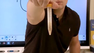 DNA Extraction from Wheat Germ [upl. by Meeker]