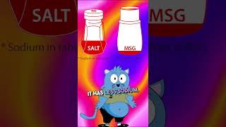 Why MSG monosodium glutamate is healthier than table salt [upl. by Mirabella763]