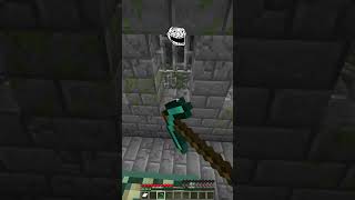 Wildest Seed vs Troll Face Reaction meme minecraft shorts [upl. by Asila]