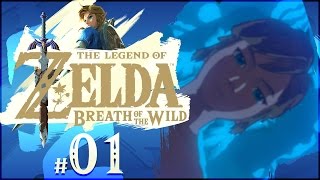 The Legend of Zelda Breath of the Wild  Part 1  New Adventure Begins Nintendo Switch Gameplay [upl. by Tabbie341]