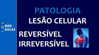 Lesão Celular Reversível e Irreversível Mecanismos Bioquímicos Patologia Geral  Bio Aulas [upl. by Fortunia358]