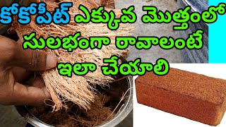 How to make cocopeat at home in telugu  cocopeat making  cocopeat  with coconut husk [upl. by Redleh]