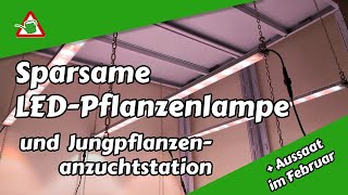 Sparsame LEDPflanzenlampe  Jungpflanzenanzuchtstation  Aussaat im Februar  Selbstversorger [upl. by Mcclenaghan172]