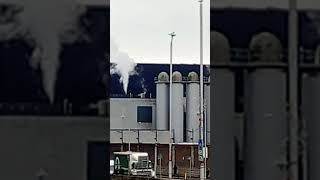 Guinness brewery in Dublin  You can experience unique smell of the barley that is being processed [upl. by Beane448]