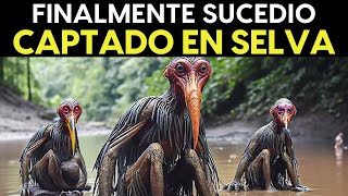 Lo Grabaron En La Selva Amazónica Y NADIE Lo Puede Creer [upl. by Hiller]