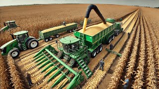 How to Harvest Billions of Pounds of Corn Daily  US Farmers with gigantic machines [upl. by Gonyea]