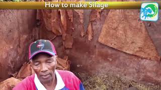 Silage Making process [upl. by Nylqcaj]