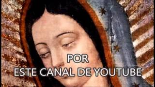 hoy santa misa 12 del día transmisión en vivo por este canal de youtube [upl. by Eira870]