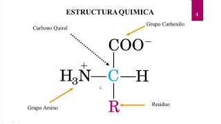 BIOQUÍMICA  AMINOÁCIDOS Y PÉPTIDOS  PROF DRA ADRIANA DA MAIA [upl. by Hwu113]