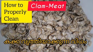 Kakka irachi Cleaning  കക്ക ഇറച്ചി വൃത്തിയാക്കുന്ന വിധം Clam Meat Cleaning How to clean clam [upl. by Edd]