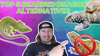 DONT BUY A BEARDED DRAGON Buy These Instead Top 5 Bearded Dragon Alternatives [upl. by Tunk]