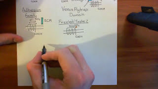 Cholera Toxin and Pertussis Toxin Part 2 [upl. by Barden]