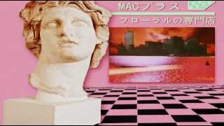 MACINTOSH PLUS  ライブラリ [upl. by Hegarty183]