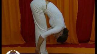 Introduction to Yoga Standing Forward Bend Uttanasana [upl. by Narrat397]