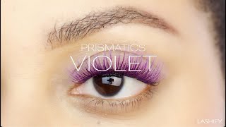 Violet Prismatics  Lashify Library [upl. by Aroved393]