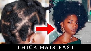 Thin to THICC 4C Natural Hair  How to Grow Thicker Hair [upl. by Zoara]