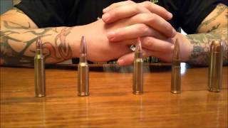 5 Calibers AR15 Ammo Comparison [upl. by Susann]