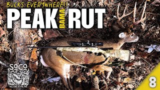 BUCKS EVERYWHERE Peak Rut On Alabama Public Land [upl. by Job]