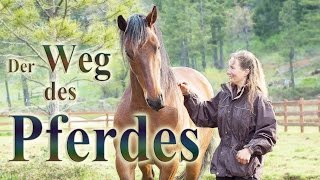 Der Weg des Pferdes  Dokumentarfilm  Deutsch Untertitel [upl. by Ayotel23]