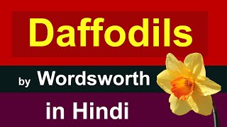 Daffodils by William Wordsworth in Hindi  i wandered lonely as a cloud in hindi [upl. by Samanthia217]