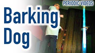 Barking Dog slow motion  Periodic Table of Videos [upl. by Blanding588]