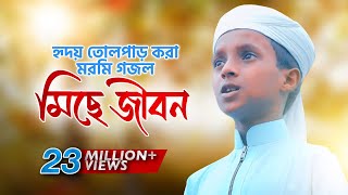 হৃদয় তোলপাড় করা মরমি গজল । Miche Jibon । মিছে জীবন । Hujaifa Islam Kalarab [upl. by Eimarej]