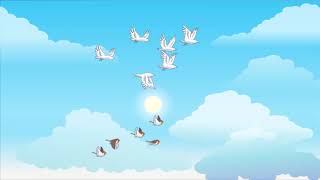 Background video animation of birds flying in the sky [upl. by Josiah657]