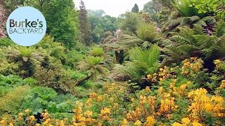 Burkes Backyard The Lost Gardens Of Heligan England [upl. by Fleisher120]