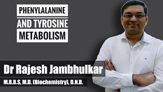 4 Phenylalanine and tyrosine metabolism [upl. by Eirrod]