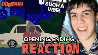 Super Funky  ODD TAXI  OPENING amp ENDING REACTION [upl. by Shandee]