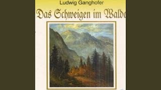 Ludwig Ganghofer Dasch Schweigen im Walde  Teil 1 [upl. by Ailegnave]