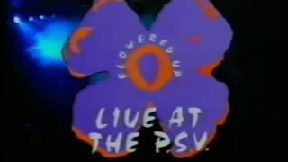 flowered up live psv club [upl. by Sivolc]