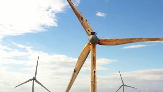 stärker als Stahl Höchstes Windrad aus Holz  in deutlich unter 2 Minuten [upl. by Orly]