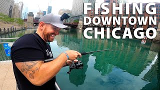 Catching GIANT FISH in Downtown Chicago Riverwalk  Field Trips Illinois [upl. by Notnyw]