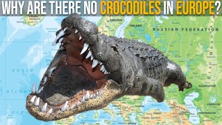 Why Are There No Crocodiles In Europe [upl. by Lamrert]