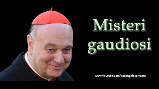 Mons Angelo Comastri – Misteri gaudiosi del Santo Rosario [upl. by Patricia534]