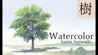 水彩画 初級編 木 春崎幹太 kanta harusaki Watercolor tree [upl. by Whitehurst]