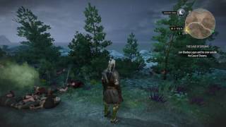 The Witcher 3 Wild Hunt  Easiest Overkill TrophyAchievement [upl. by Edgardo]