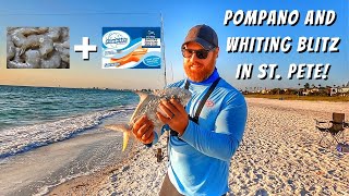 Surf Fishing For Pompano And Whiting In St Petersburg Florida [upl. by Noryt]