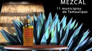 Mezcal tequila y bacanora Revista del Consumidor Webcast 242 [upl. by Claudine84]