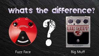 Whats The Difference Jim Dunlop Fuzz Face and Electro Harmonix Big Muff [upl. by Eislek]