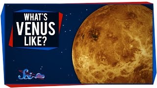 Whats It Like on  Venus [upl. by Ecnirp]