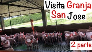 Como CRIAR LECHONES🐷🍼GRANJA porcina SAN JOSE PARTE 2 CAPITULO 1012 VISITANDO granjas PORCINAS [upl. by Iviv228]