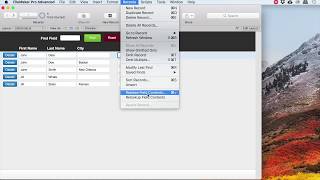 Filemaker Pro Custom Find fields [upl. by Augusto]