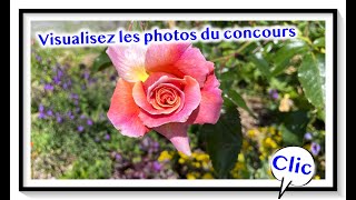 Concours photo de Wavignies format 169ème [upl. by Bena]