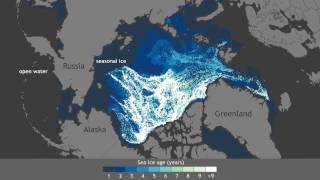 Arctic sea ice growing younger thinner [upl. by Ley]