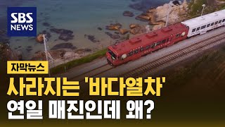 사라지는 바다열차…연일 매진인데 왜 자막뉴스  SBS [upl. by Damian]